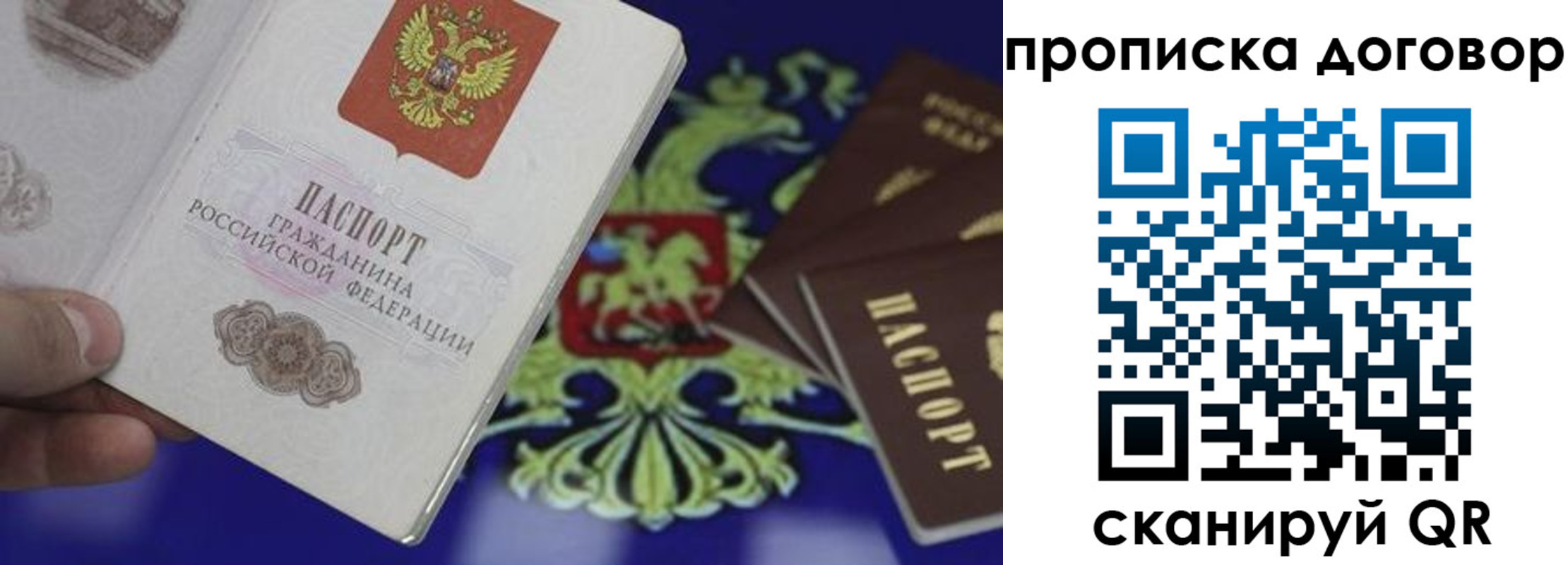 прописка гарантия в Саратове
